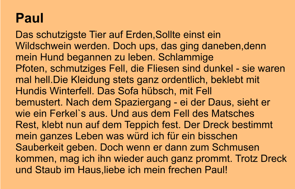 Paul  Das schutzigste Tier auf Erden,Sollte einst ein  Wildschwein werden. Doch ups, das ging daneben,denn  mein Hund begannen zu leben. Schlammige  Pfoten, schmutziges Fell, die Fliesen sind dunkel - sie waren  mal hell.Die Kleidung stets ganz ordentlich, beklebt mit  Hundis Winterfell. Das Sofa hübsch, mit Fell  bemustert. Nach dem Spaziergang - ei der Daus, sieht er wie ein Ferkel`s aus. Und aus dem Fell des Matsches  Rest, klebt nun auf dem Teppich fest. Der Dreck bestimmt  mein ganzes Leben was würd ich für ein bisschen  Sauberkeit geben. Doch wenn er dann zum Schmusen  kommen, mag ich ihn wieder auch ganz prommt. Trotz Dreck  und Staub im Haus,liebe ich mein frechen Paul!